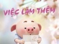 Tân Bình | Cần thêm người phụ bán cà phê lịch đăng ký tự do Tân Bình | Cần thêm người phụ bán cà phê lịch đăng ký tự do