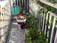 Cần bán căn hộ 52 m2 đường Tô ký-Hóc Môn giá 2.9 tỷ Cần bán căn hộ 52 m2 đường Tô ký-Hóc Môn giá 2.9 tỷ