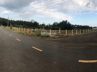 Gân 10000m2 đất trồng cây nông nghiệp Gân 10000m2 đất trồng cây nông nghiệp