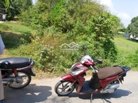 Bán đất thổ cư xã An Ninh Tây, huyện Đức Hoà Bán đất thổ cư xã An Ninh Tây, huyện Đức Hoà
