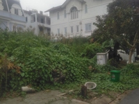 Cho thuê 480m2 đất đường Chuyên Dùng Quận 9 . Cho thuê 480m2 đất đường Chuyên Dùng Quận 9 .