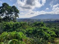 Khu nghỉ dưỡng 3400m2 , view đỉnh núi nhìn ra QL 20 Khu nghỉ dưỡng 3400m2 , view đỉnh núi nhìn ra QL 20