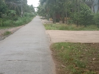 Cần bán lô đất ngay ấp Hòa Mỹ-Bình Ninh,H,. chợ Gạo Cần bán lô đất ngay ấp Hòa Mỹ-Bình Ninh,H,. chợ Gạo