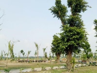 Bán đất nền thổ cư trong khu quy hoạch công viên trường học giá 3 tỷ Bán đất nền thổ cư trong khu quy hoạch công viên trường học giá 3 tỷ