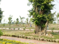 Bán đất 3 mặt giáp thông đẹp nhất khu Bình Chuẩn giá chỉ 40tr/m2 Bán đất 3 mặt giáp thông đẹp nhất khu Bình Chuẩn giá chỉ 40tr/m2