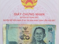 Bán đất trồng cây 2900m đông thạnh hóc môn Tp HCM Bán đất trồng cây 2900m đông thạnh hóc môn Tp HCM