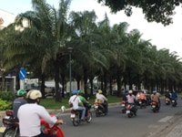 Cho thuê quán cà phê sân vườn, khu trung sơn, giá 25 tr/th, 10x20 góc Cho thuê quán cà phê sân vườn, khu trung sơn, giá 25 tr/th, 10x20 góc
