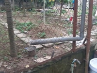 Bán Nhanh Đất Siêu Đẹp Chỉ 880 Triệu Tại Tổ 5, Yên Nghĩa, Hà Đông, HN Bán Nhanh Đất Siêu Đẹp Chỉ 880 Triệu Tại Tổ 5, Yên Nghĩa, Hà Đông, HN