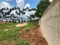 Bán đất ngay ngã 3 Đức Hòa. 1300 m2 thổ cư 100%, giá: 6.5 tỷ. SHR Bán đất ngay ngã 3 Đức Hòa. 1300 m2 thổ cư 100%, giá: 6.5 tỷ. SHR
