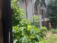 10 x 15m, 1/ Quang trung, Giá 47tr/m2, phường 8, Quận Gò Vấp. 10 x 15m, 1/ Quang trung, Giá 47tr/m2, phường 8, Quận Gò Vấp.