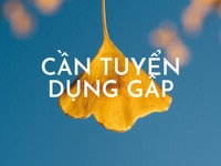 Cần tuyển gấp nhân viên bán hàng tại siêu thị Cần tuyển gấp nhân viên bán hàng tại siêu thị