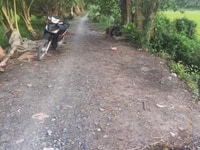 3,6công đất ấp 2,Tam Hiệp,Châu Thành,TG 3,6công đất ấp 2,Tam Hiệp,Châu Thành,TG