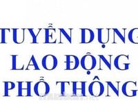 Cần tuyển gấp nhân viên ( Đứng bán hàng tại quầy trên 18t ) Cần tuyển gấp nhân viên ( Đứng bán hàng tại quầy trên 18t )