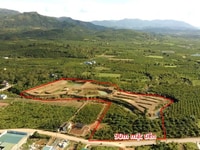 Khu nghỉ dưỡng 2ha, mặt tiền đường Đinh Công Tráng 90 m mặt đường 90m Khu nghỉ dưỡng 2ha, mặt tiền đường Đinh Công Tráng 90 m mặt đường 90m
