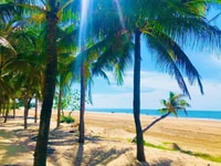 Đất Biển Bình Thuận 1000m2 Đẹp Giá Đầu Tư Bao Khu Vực Đất Biển Bình Thuận 1000m2 Đẹp Giá Đầu Tư Bao Khu Vực