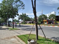 Cho t 1 trệt 3 lầu mặt tiền nguyễn tri phương Cho t 1 trệt 3 lầu mặt tiền nguyễn tri phương