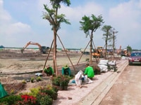 Bán gấp lô đất cho khách với mức giá đầu tư sanh lời chiết khấu cao Bán gấp lô đất cho khách với mức giá đầu tư sanh lời chiết khấu cao
