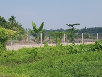 Cc cần bán 2800m đất ấp 4 đông thạnh hóc môn Tp HCM Cc cần bán 2800m đất ấp 4 đông thạnh hóc môn Tp HCM