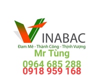 Cho thuê kho 400m2-ngay trung tâm thành phố Cho thuê kho 400m2-ngay trung tâm thành phố