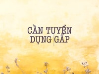 Cần tuyển gấp nam nữ bán hàng tại cửa hàng Cần tuyển gấp nam nữ bán hàng tại cửa hàng