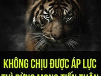 Cần tuyển gấp ưu tiên sinh viên / nội trợ Cần tuyển gấp ưu tiên sinh viên / nội trợ