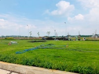 Cần bán gấp lô đất tại chợ Long Thọ-Nhơn Trạch-Đồng Nai Cần bán gấp lô đất tại chợ Long Thọ-Nhơn Trạch-Đồng Nai