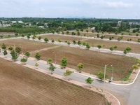 Cần thanh lý gấp 2 lô đất ngay mặt tiền Hoàng Hữu Nam, Q9 Cần thanh lý gấp 2 lô đất ngay mặt tiền Hoàng Hữu Nam, Q9