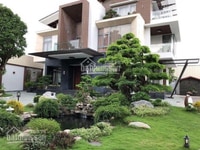 Bán nhà Sư Vạn Hạnh, Phường 12, Quận 10. 3 Lầu (DT: 7.4x15m) Bán nhà Sư Vạn Hạnh, Phường 12, Quận 10. 3 Lầu (DT: 7.4x15m)