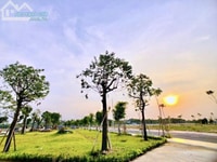 Bán gâp lô đất cho khách với múc giá siêu mềm cho khách Bán gâp lô đất cho khách với múc giá siêu mềm cho khách