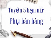 Cần gấp 5 bạn nam nữ vui vẻ bán hàng. Cần gấp 5 bạn nam nữ vui vẻ bán hàng.