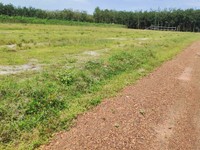 Chính chủ bán lô đất hơn 250m2 Chính chủ bán lô đất hơn 250m2