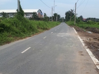 Bán Đất trồng cây lâu năm, có thể chuyển thổ cư ngay Bán Đất trồng cây lâu năm, có thể chuyển thổ cư ngay