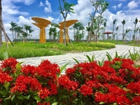 Bán gâp cho khách đất nền đã có sổ , liên lạc cho sương để được bớt Bán gâp cho khách đất nền đã có sổ , liên lạc cho sương để được bớt