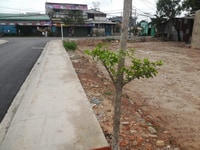 Cần bán gấp đất nền 150m2 đường Tản Đà, giá 1,6 tỷ có SHR Cần bán gấp đất nền 150m2 đường Tản Đà, giá 1,6 tỷ có SHR