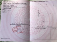 Bán vườn dừa xã lương hoà lạc chợ gạo tiền giang Bán vườn dừa xã lương hoà lạc chợ gạo tiền giang