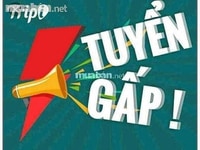 Cửa hàng cần tuyển gấp nhân viên nam nữ bán hàng tại quầy Cửa hàng cần tuyển gấp nhân viên nam nữ bán hàng tại quầy