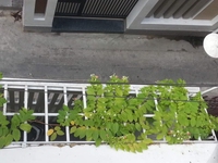 Bán gấp nhà 4tầng đường Phan Xích Long, phường 2, quận Phú Nhuận 128m2 Bán gấp nhà 4tầng đường Phan Xích Long, phường 2, quận Phú Nhuận 128m2