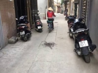Bán nhà riêng phố Lê Thanh Nghị, Tạ Quang Bửu, Bách Khoa, Q. HBT,36m,3 Bán nhà riêng phố Lê Thanh Nghị, Tạ Quang Bửu, Bách Khoa, Q. HBT,36m,3