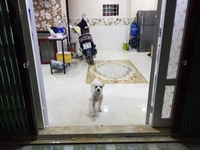 Bán nhà mới , ĐẸP, phường Tam phú Bán nhà mới , ĐẸP, phường Tam phú