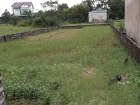 Bán Nhanh Lô Đất Lối 2 Đường 20, Gần Khu Cáp Treo Nghi Hòa. Bán Nhanh Lô Đất Lối 2 Đường 20, Gần Khu Cáp Treo Nghi Hòa.