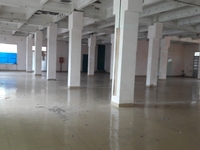 Cần cho thuê gấp 1000m2 Mặt tiền đường Võ Văn Kiệt Cần cho thuê gấp 1000m2 Mặt tiền đường Võ Văn Kiệt