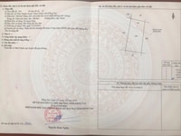 Bán nhanh đất cây lâu năm Vĩnh Thanh, Nhơn Trạch Bán nhanh đất cây lâu năm Vĩnh Thanh, Nhơn Trạch
