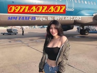 Dư dùng thanh lý Sim taxi 09*602.602 Dư dùng thanh lý Sim taxi 09*602.602