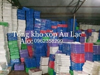 Thảm xốp âu lạc đủ các kích thước Thảm xốp âu lạc đủ các kích thước
