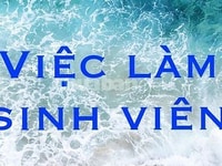 Cần người làm bán hàng không yêu cầu kinh nghiệm Cần người làm bán hàng không yêu cầu kinh nghiệm