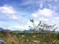 Bán Đất Sào Bồng Lai –Hiệp Thạnh-Đức Trọng-LĐ. DT:5000m2 Bán Đất Sào Bồng Lai –Hiệp Thạnh-Đức Trọng-LĐ. DT:5000m2