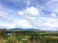 Bán Đất Sào Bồng Lai –Hiệp Thạnh-Đức Trọng-LĐ. DT:5000m2 Bán Đất Sào Bồng Lai –Hiệp Thạnh-Đức Trọng-LĐ. DT:5000m2