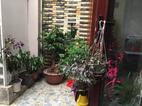 Bán nhà 3 tầng phố Lán Bè, lê chân, hải phòng. Gía 1.95 tỷ Bán nhà 3 tầng phố Lán Bè, lê chân, hải phòng. Gía 1.95 tỷ