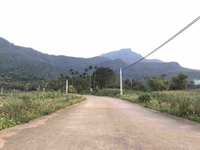 Bán đất nghỉ dưỡng tại thôn dy xã minh quang, sổ đỏ CC, lưng tựa núi Bán đất nghỉ dưỡng tại thôn dy xã minh quang, sổ đỏ CC, lưng tựa núi