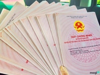 Bán đất lai uyên Bàu Bàng sát quốc lộ 13 540 triệu/nền 80m2 Bán đất lai uyên Bàu Bàng sát quốc lộ 13 540 triệu/nền 80m2